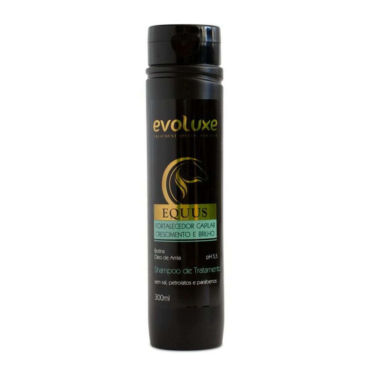 ASP Hair Care Evoluxe Equus Treatment Shampoo 300ML - ASP