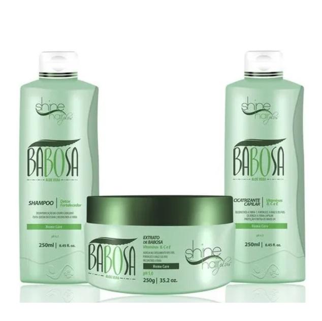 Shine Hair Home Care Babosa Aloe Vera Vitamins Dry Hair Rebuilding Treatment Kit 3x250 - Shine Hair